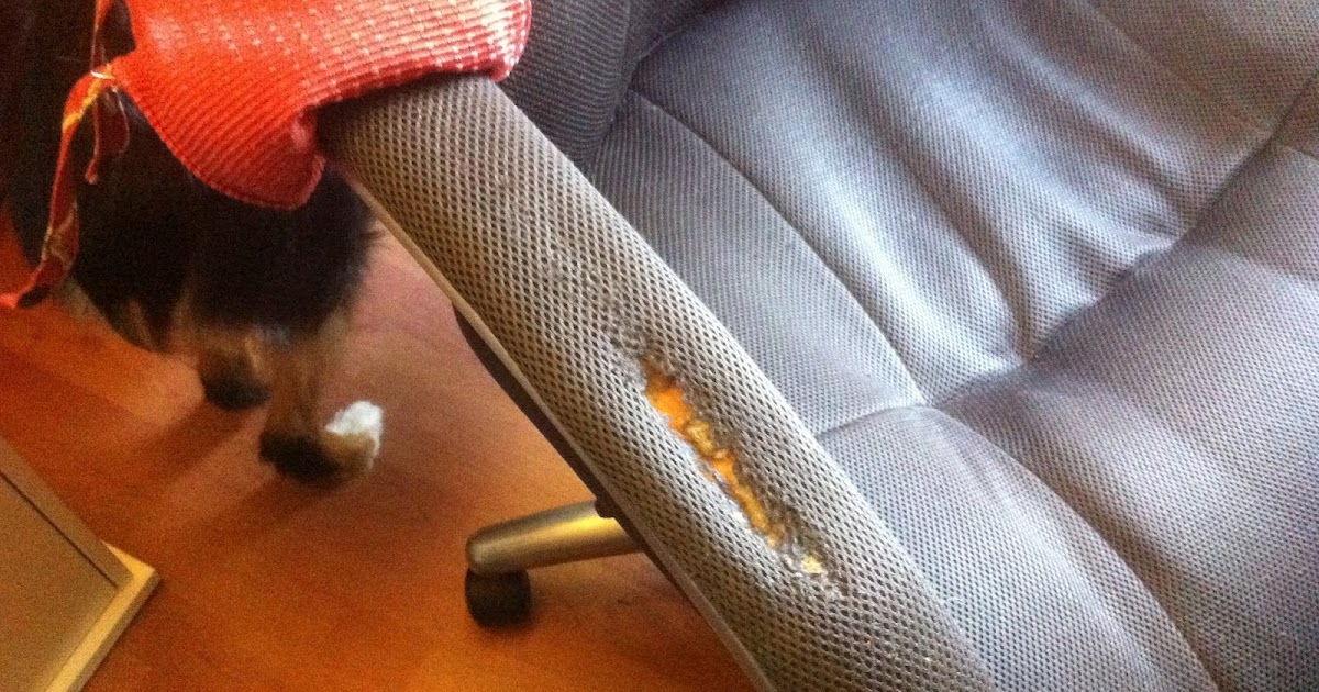 DIY Chair Arm Covers DIY Danielle