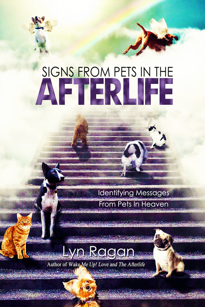 Signs From Pets In The Afterlife Book