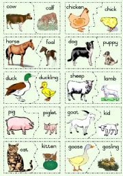 Printables Animals And Their Young Ones Worksheet and their babies worksheets versaldobip animals versaldobip
