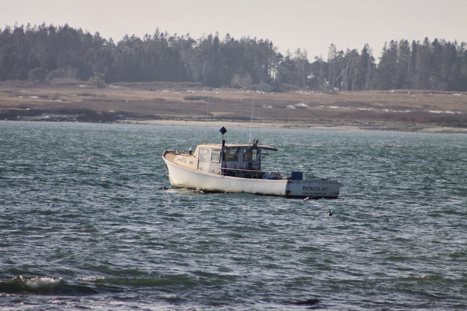 Adventures with Renee Kettle Cove Cape Elizabeth, Maine