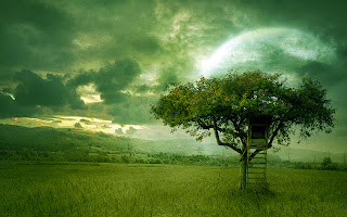 green nature images backgrounds for laptop