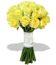 Yellow Roses Really is Very Gorgeous.