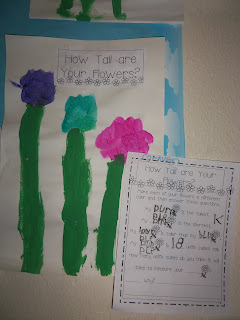 Mrs. Wood's Kindergarten Class: Flower Measurement