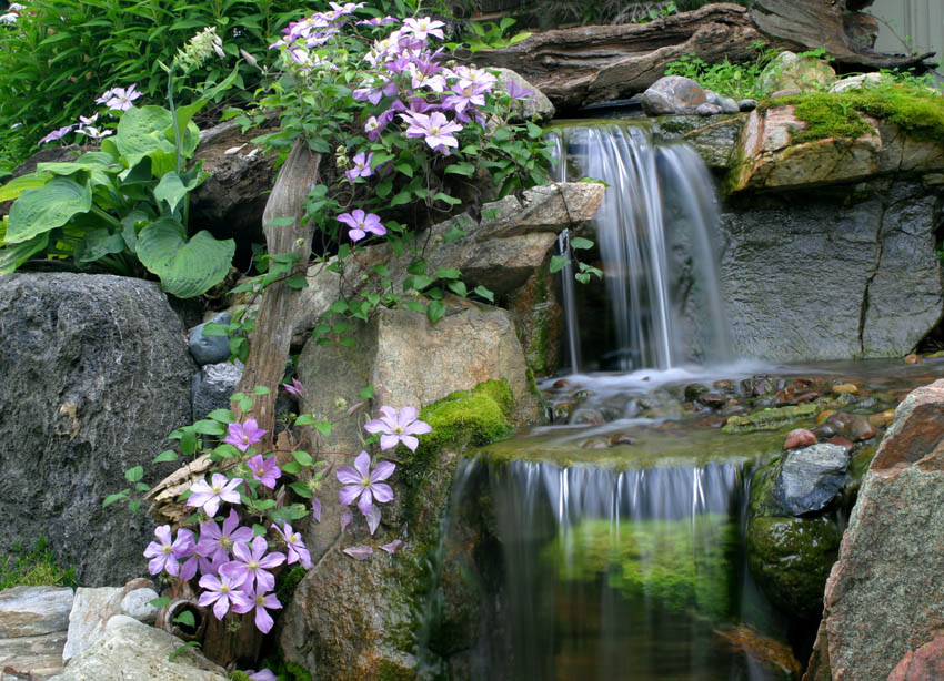 Aquascape Your Landscape Waterfalls The Perfect Abode for Moss