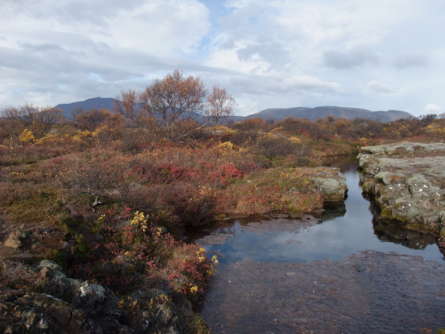 Der Neue Dies Und Das Das Journal Of Alternative Facts