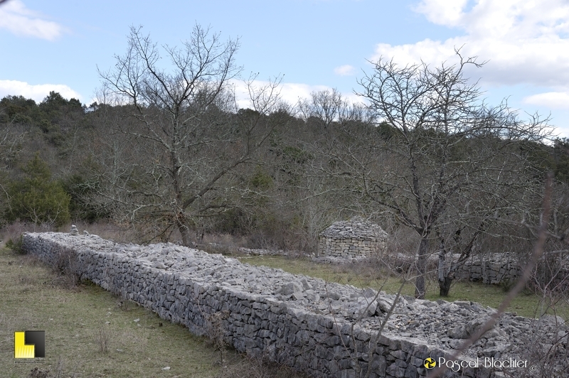 mur de pierre réalisé pour nettoyer le pâturage photo pascal blachier