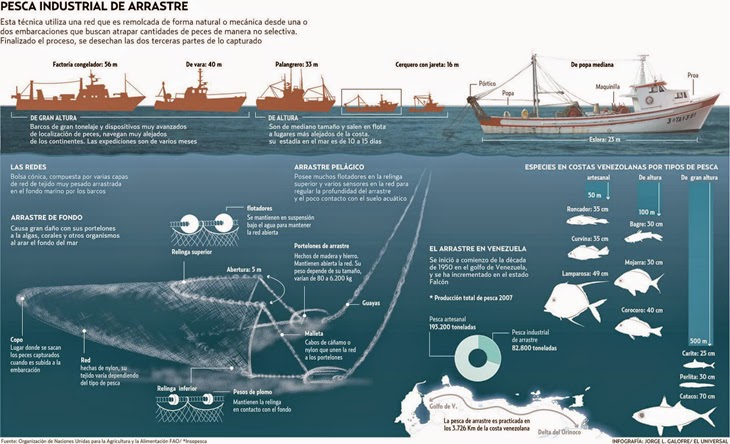 redes de pesca fono de putas redes de pesca fono de putas