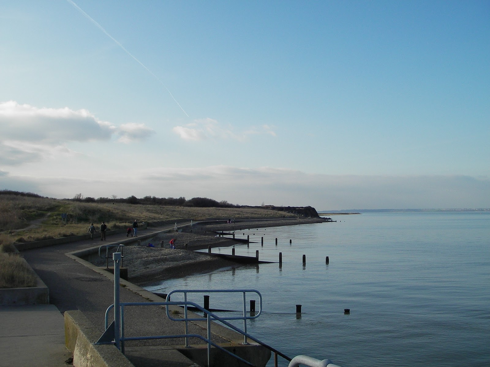 hightide british bizarre