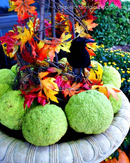 Outdoor Fall Decorating Ideas Dimples and Tangles