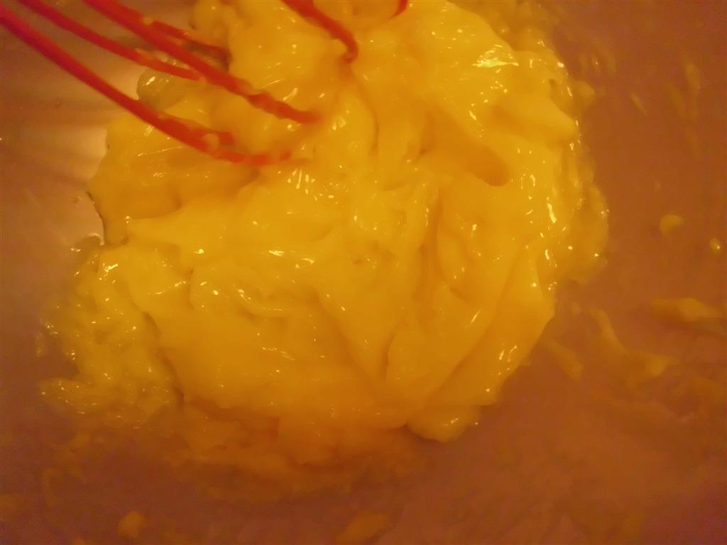 The DoItYourself Mom DIY Mayonnaise