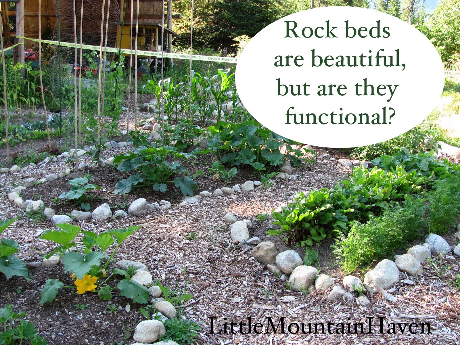 Little Mountain Haven: April 2013