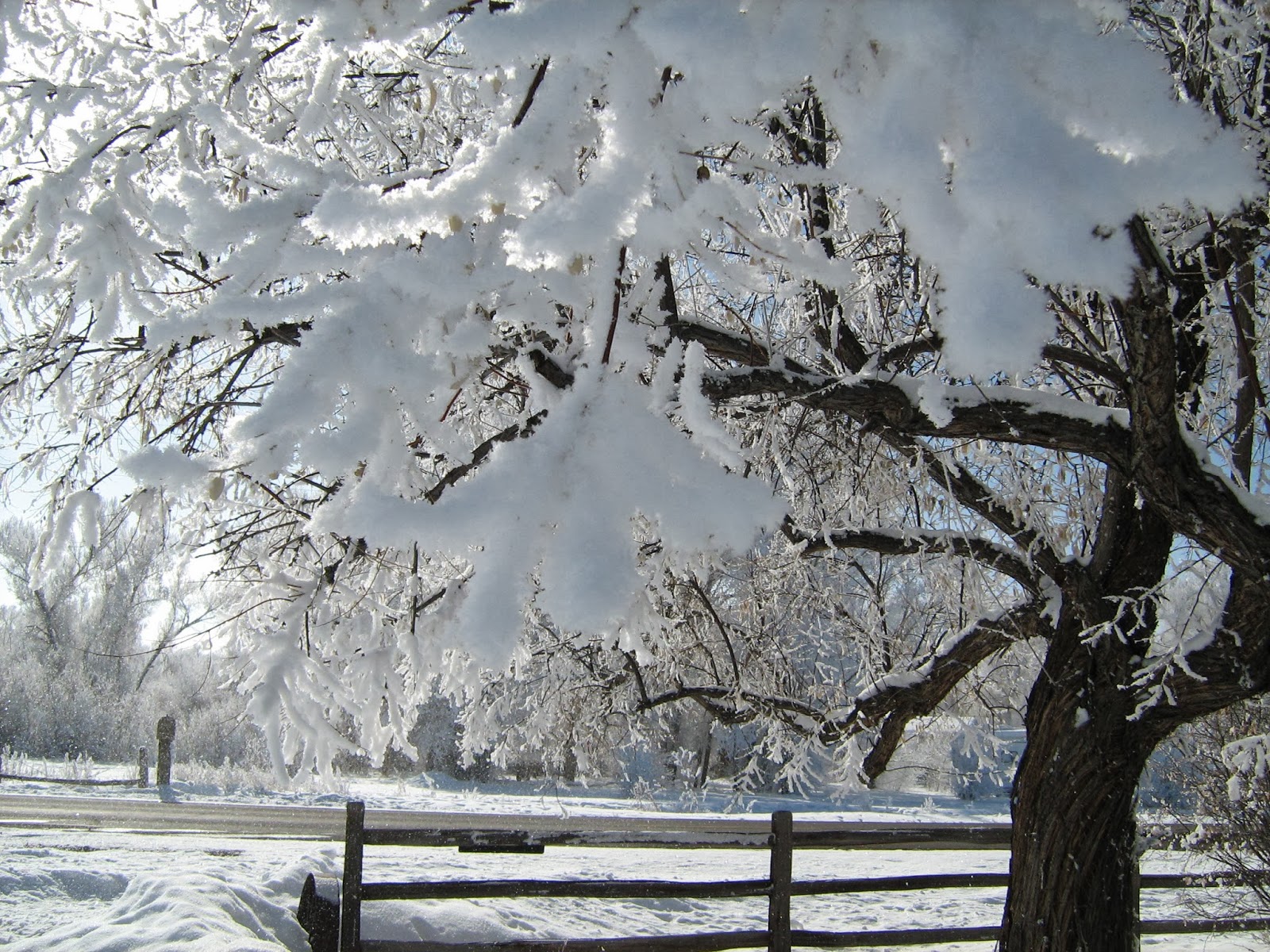 Kindred Style: Winter Greetings and an Easy Chalkboard Sign