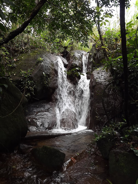 CACHOIERA DO CHAPADÃO