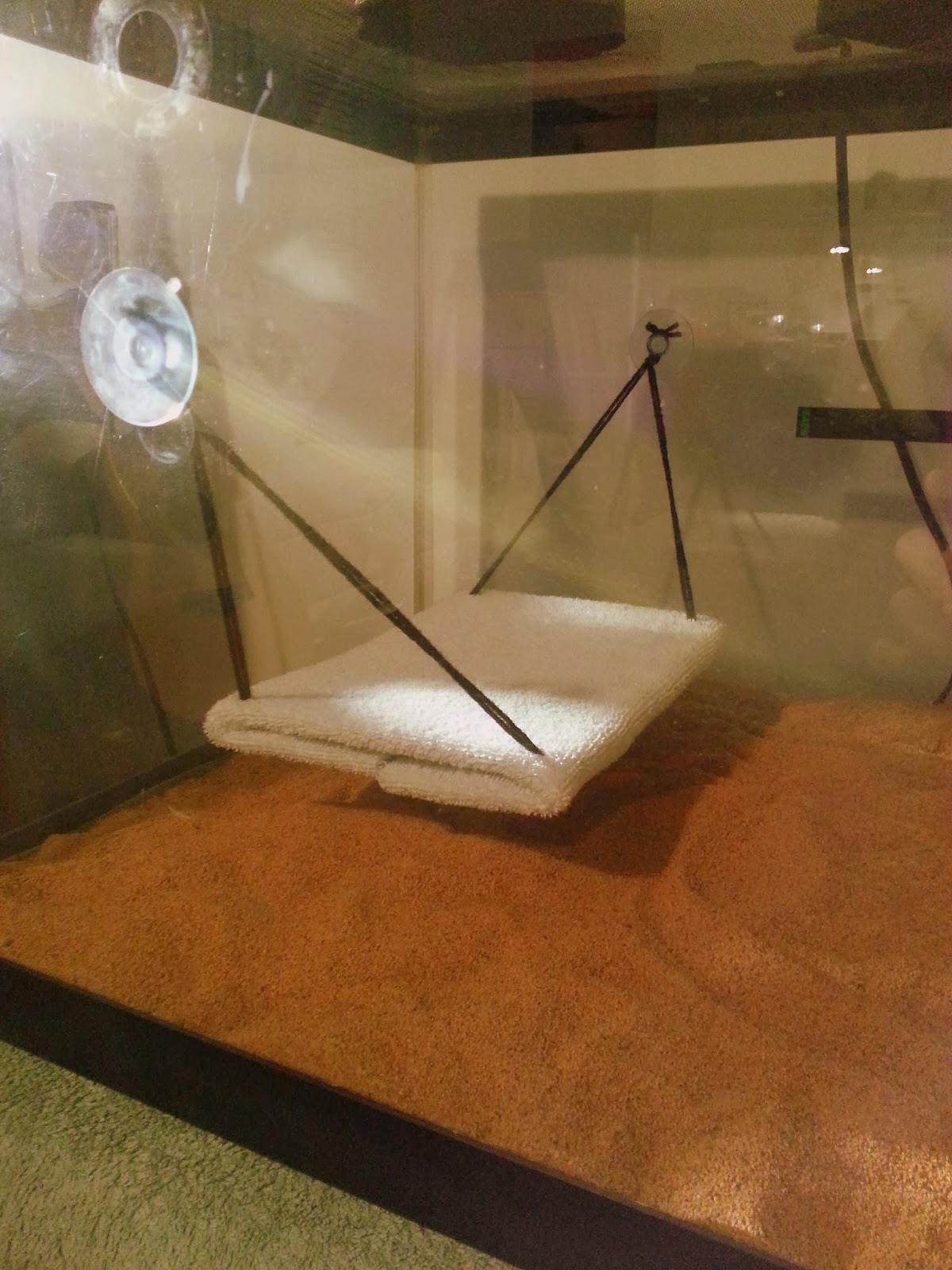 Procraftination! Bearded Dragon Hammock