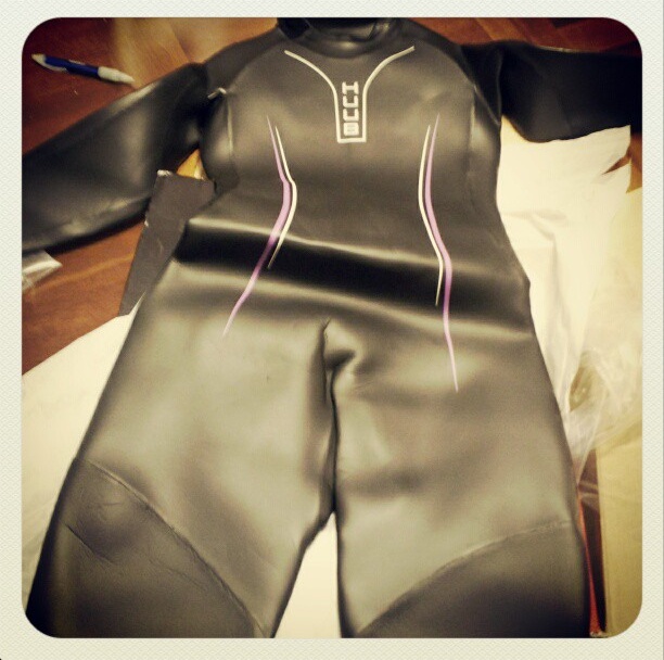 Kelly the Culinarian How to Save Money on Triathlon Expenses