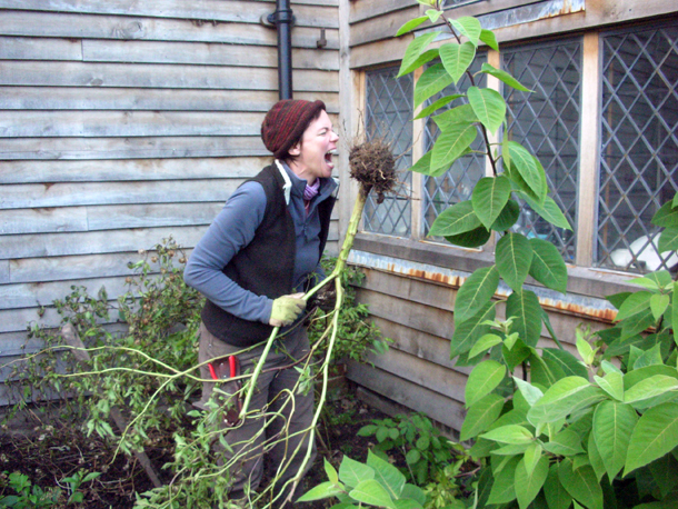 Past Imperfect April 2011