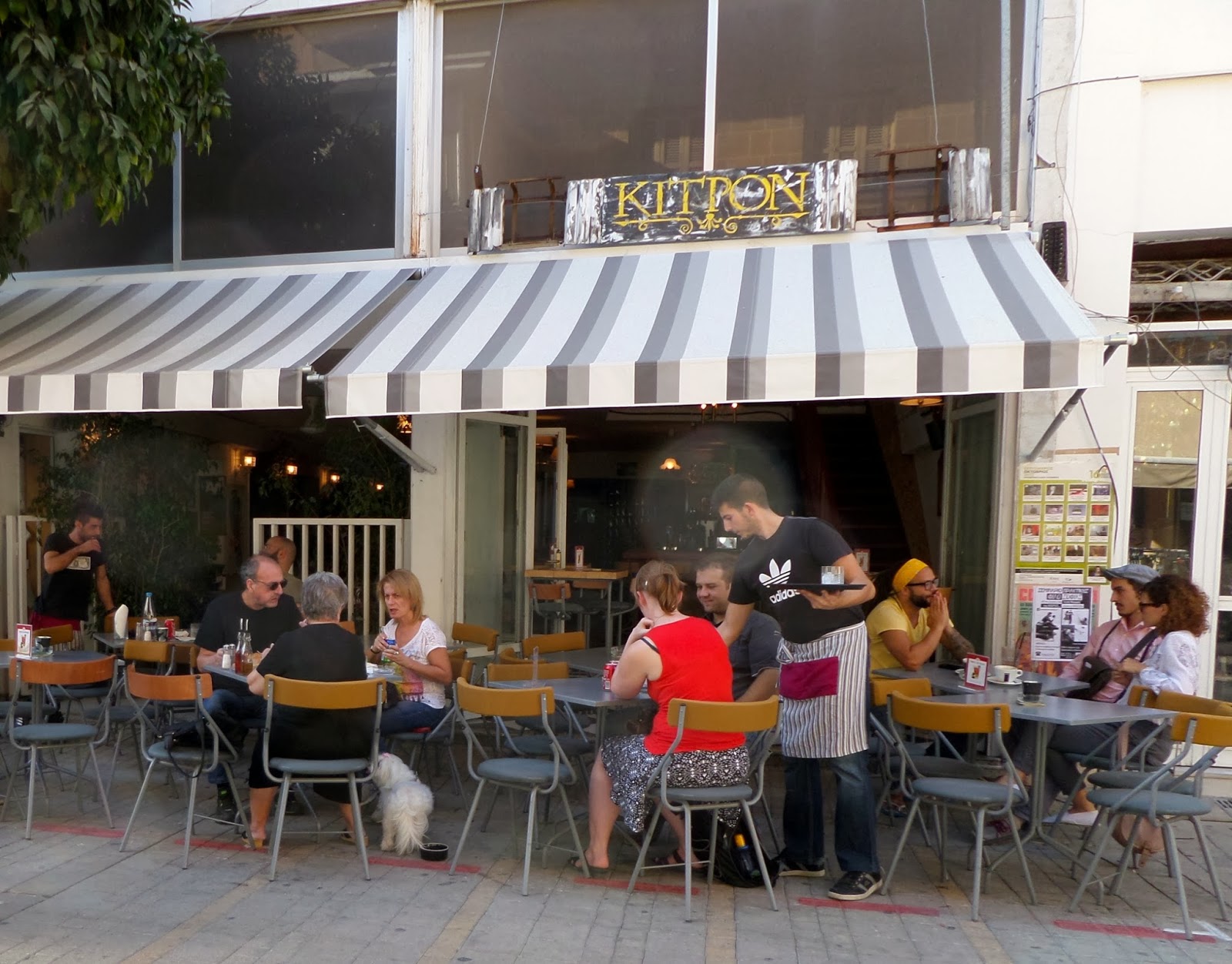 Travel Cyprus With Your Dog Eating and drinking in Nicosia... with