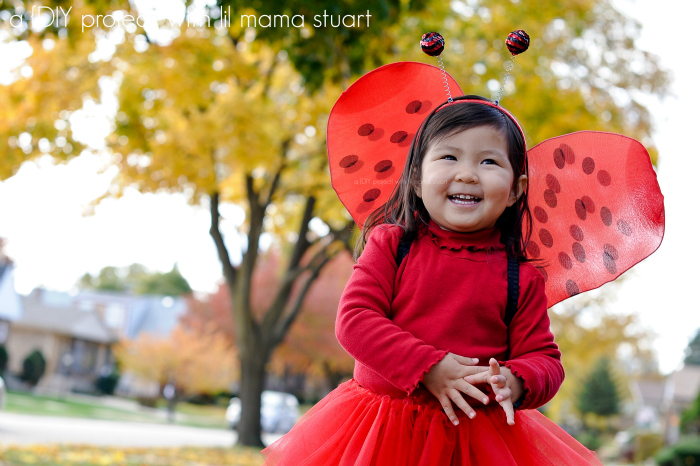 a {day} with lil mama stuart: DIY Wings - Ladybug Halloween Costume