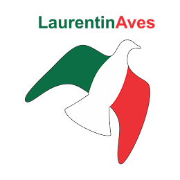 Logotipo LaurentinAves.