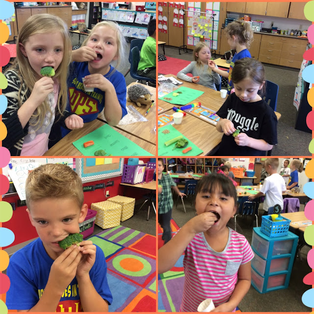 The First Grade Scoop Verbs, Science Friday, Making Connections, and