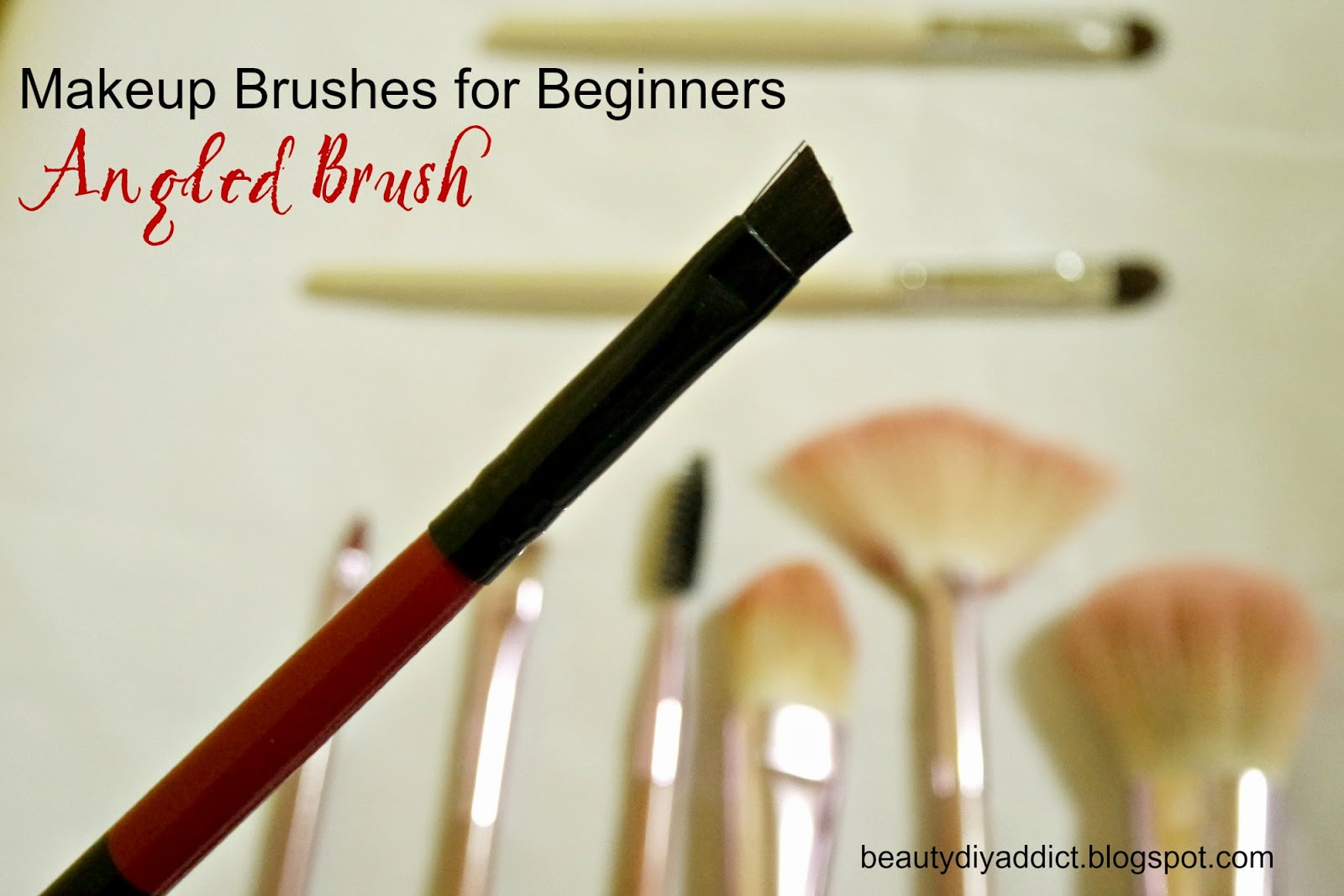 Beauty DIY Addict Makeup Brushes for Beginners