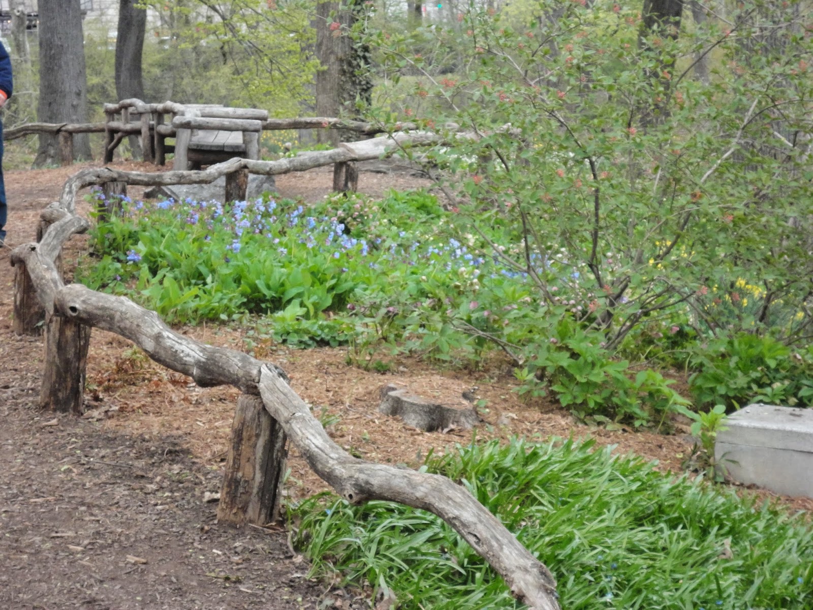 My story in recipes Buttermilk Biscuits