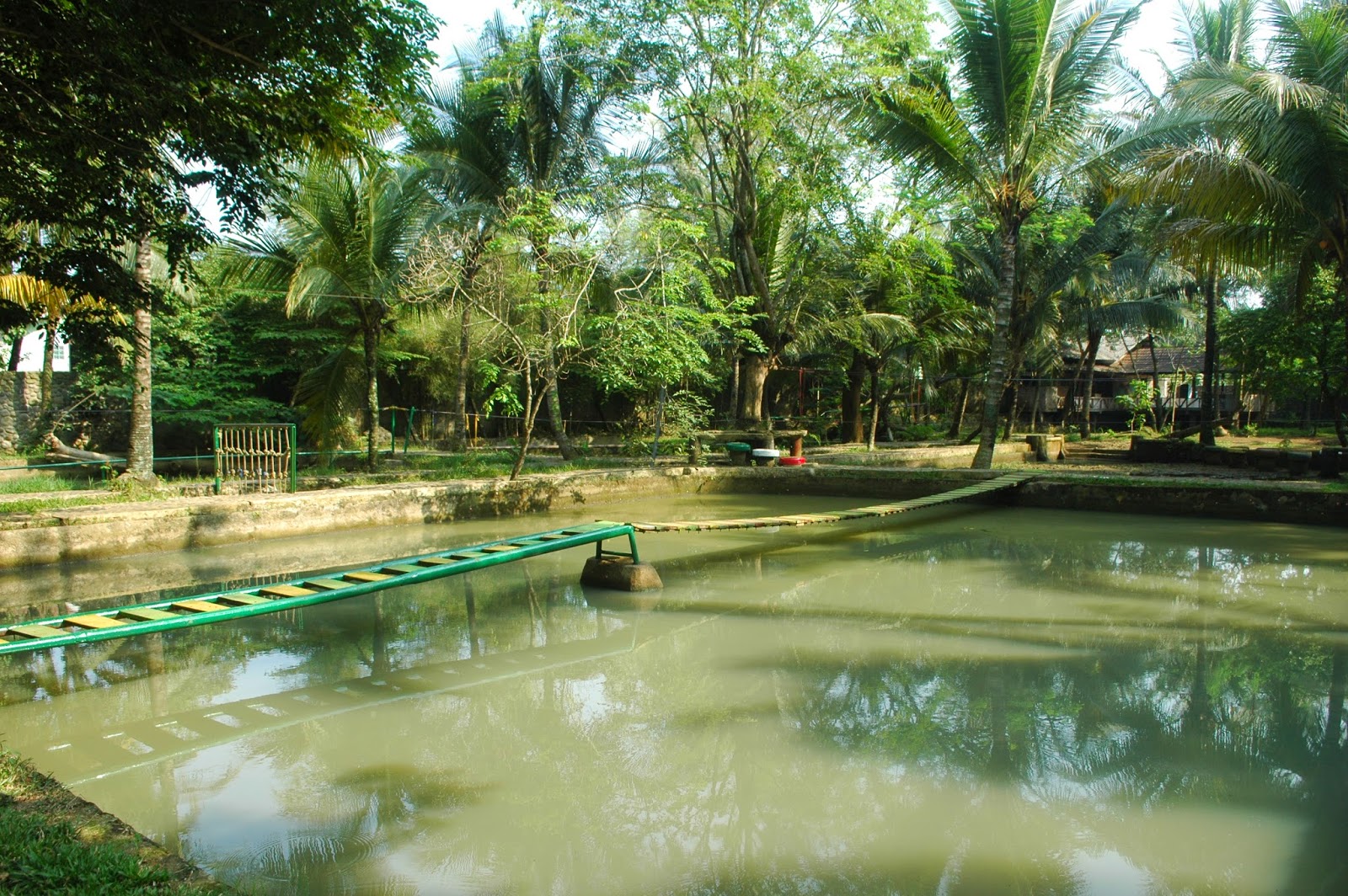 JARDINN TOUR &amp; TRAVEL Outbound yang alami dan asri