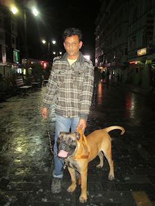 A beautiful Bull mastiff dog with its owner on "M.G.Road".