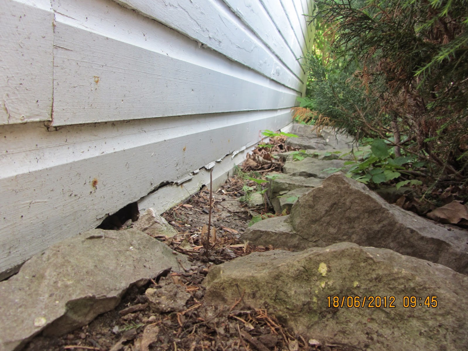 Inspected by 42 (ib42) Ottawa Home Inspections Avoid Wood to Soil