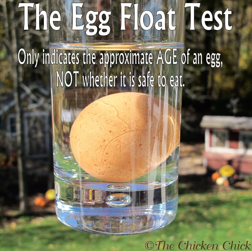Hard Boiled Egg Floats