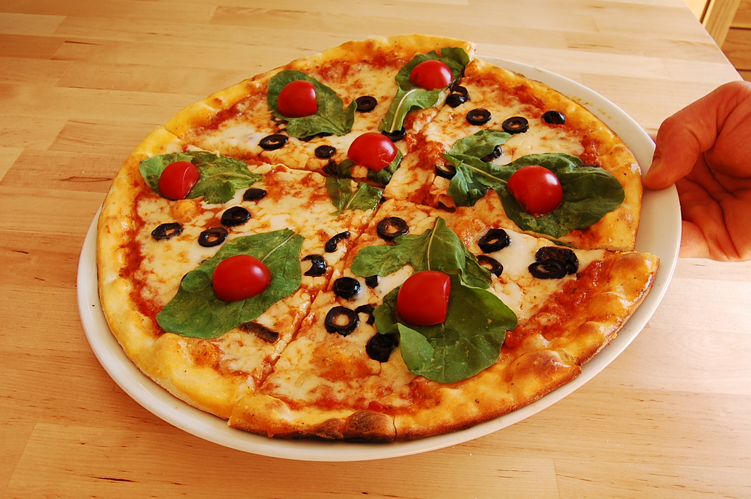 Pizza Freschezza Pizza ve Panini Çeşitleri