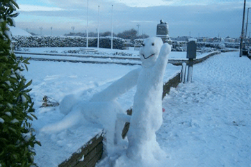 Justacargal Hump Day Humor Winter Wonderland