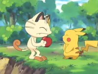 Pokésite - Tudo sobre Pokémon: Episódios de Pokémon Dublado em PT-BR em RMVB