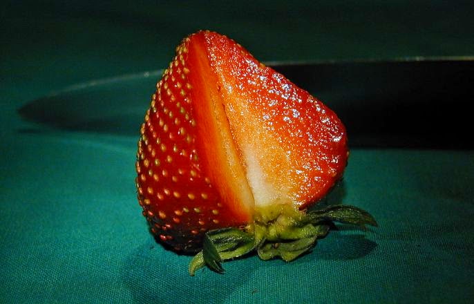 Strawberry Festival at Mitcham Farm 2016 | Oxford, Georgia