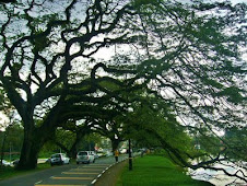 Taiping Lake Gardens