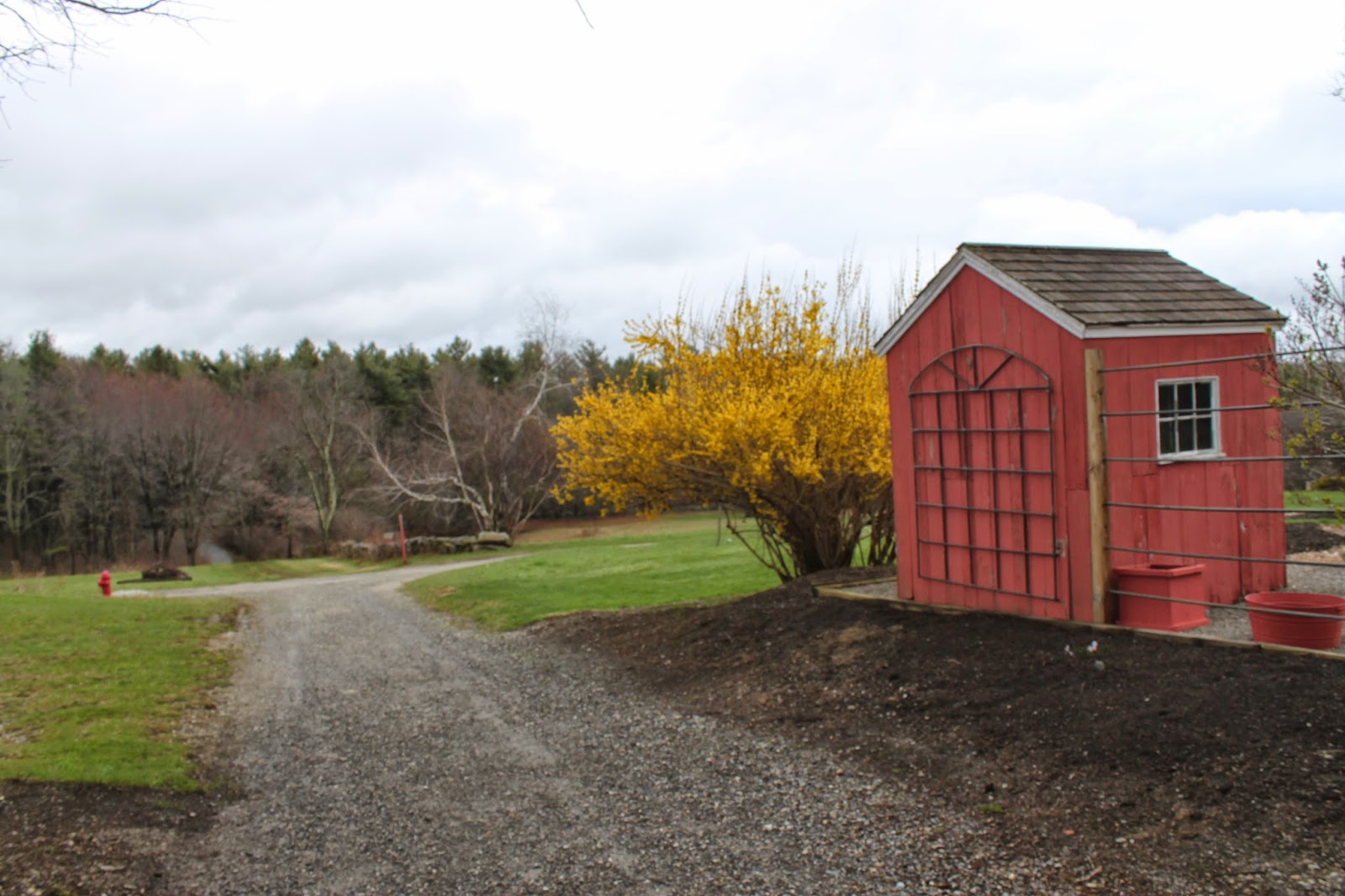 A Lady in Boston Nearby Tower Hill Botanic Garden