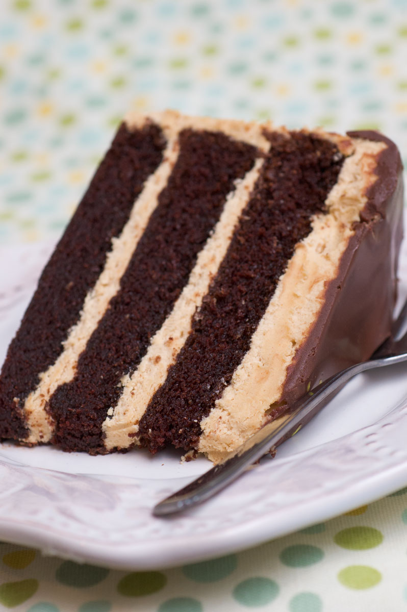 Sugar & Spice by Celeste Fudgy Chocolate Peanut Butter Cake...Sinfully