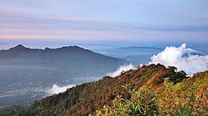 www.belantaraindonesia.org