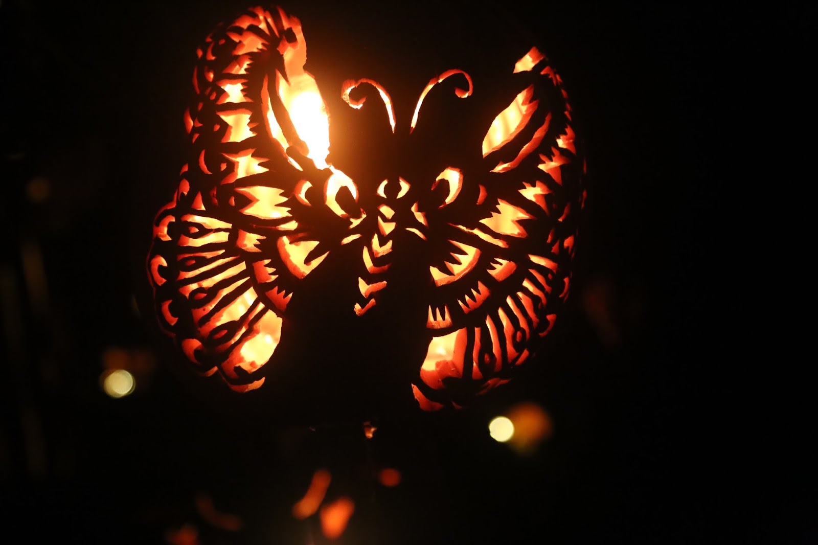 baby meets city A Night Out at The Great Jack O'Lantern Blaze