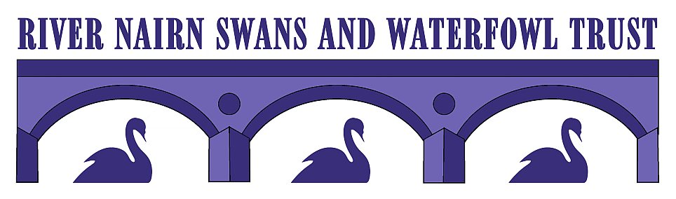 River Nairn Swans and Waterfowl Trust