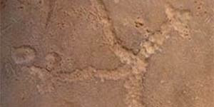 Inilah Ukiran Batu Pertama Dan Tertua Di Dunia [ www.BlogApaAja.com ]