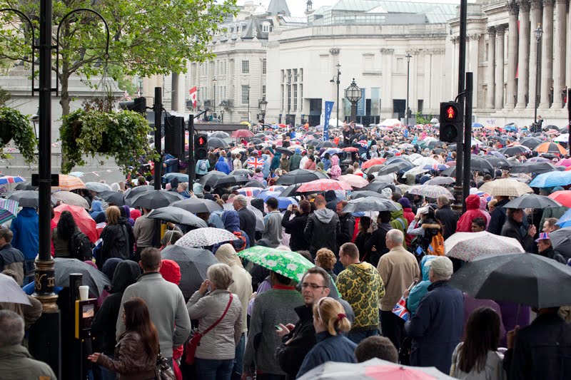 Sea Of Umbrellas