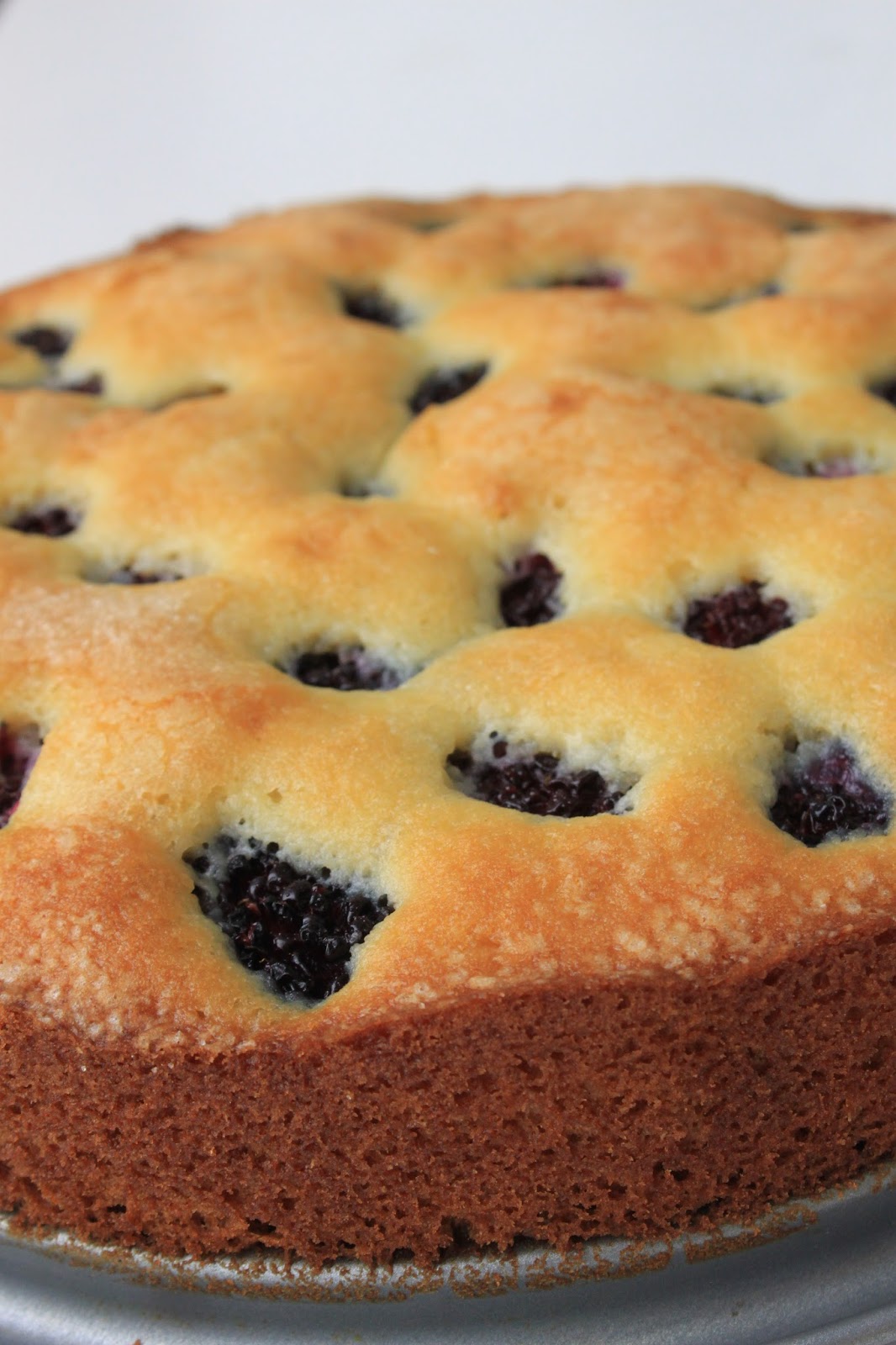 Life's Too Short to Skip Dessert Blackberry Buttermilk Cake