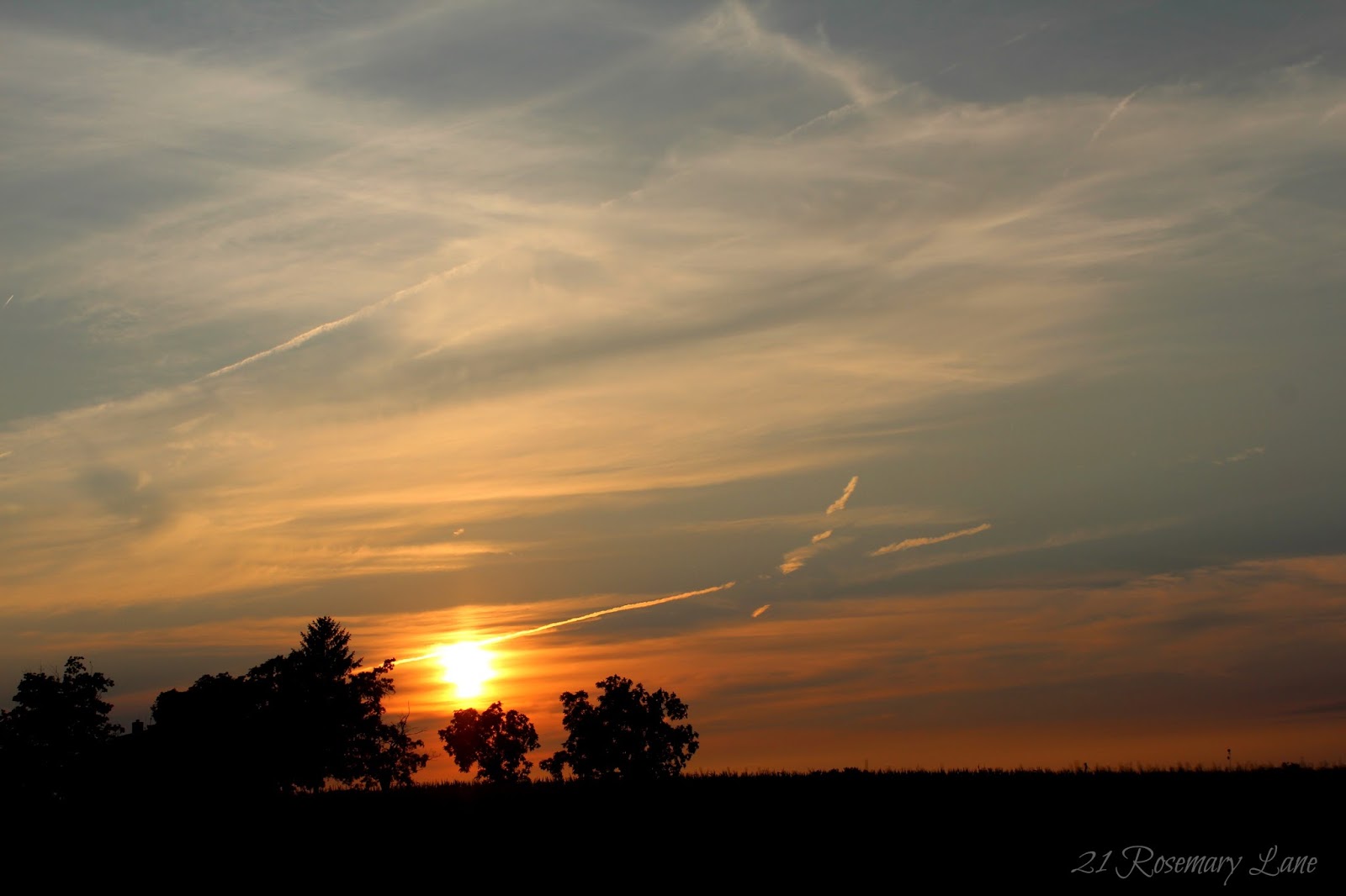 21 Rosemary Lane Images from the Side of the Road