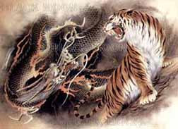 Fighting With Tiger