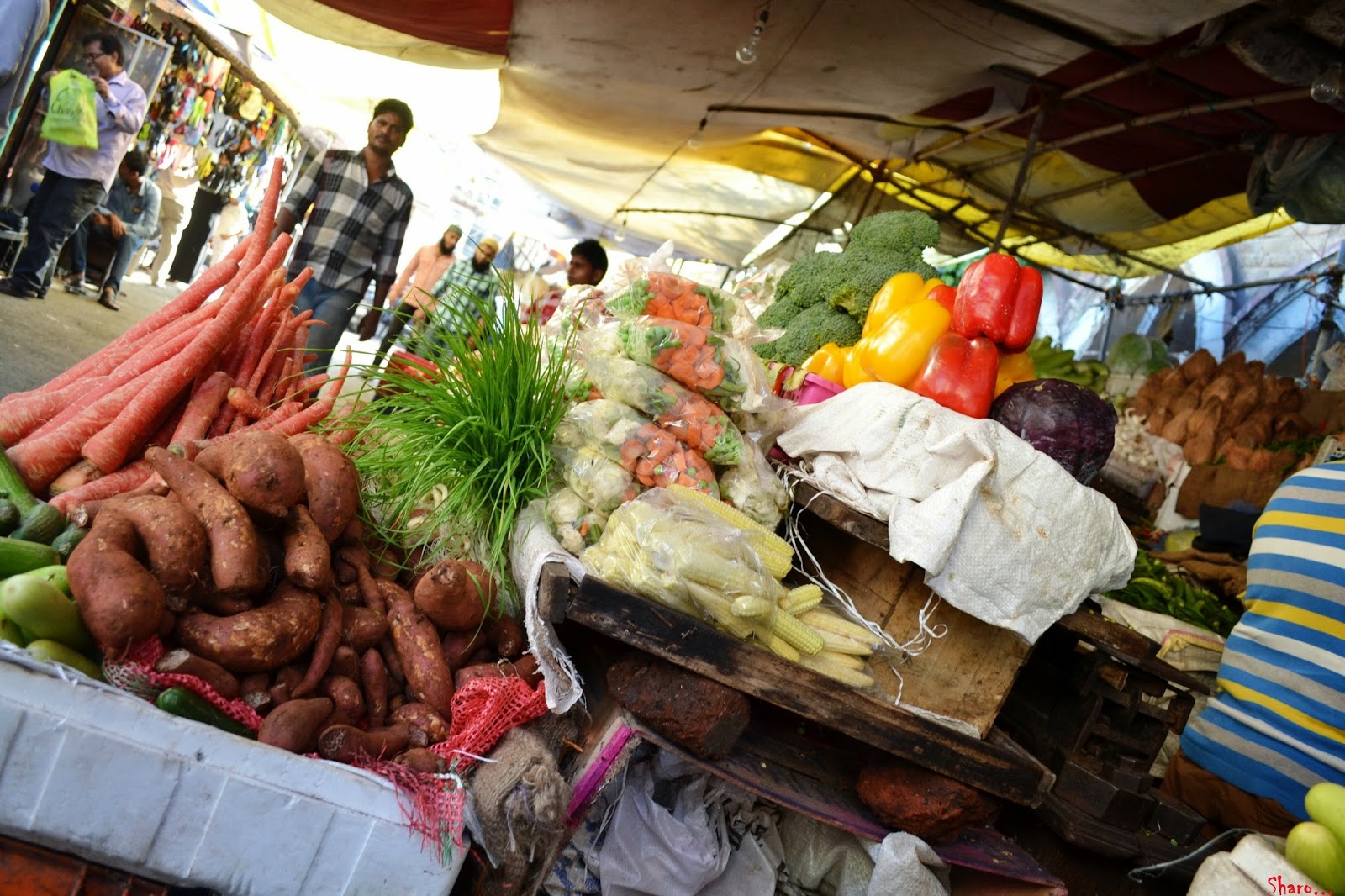 Click! Some random Clicks Pune Camp, Maharashtra
