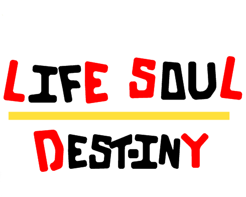 Life.Soul.Destiny