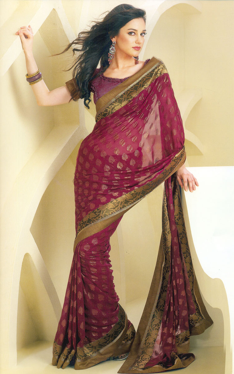 Fashion NEW SAREE DESIGN 2013