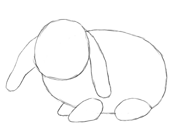 how to draw a bunny