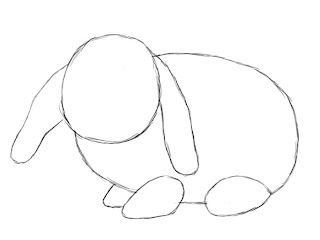 How To Draw A Bunny Step By Step - Draw Central